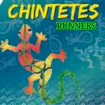 Logotipo de Chintetes Runners con una imagen de una lagartija de colores rojo y amarillo sobre un fondo verde con patrones de lagartijas.